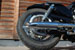 gabi_sportster_thumb_03.jpg